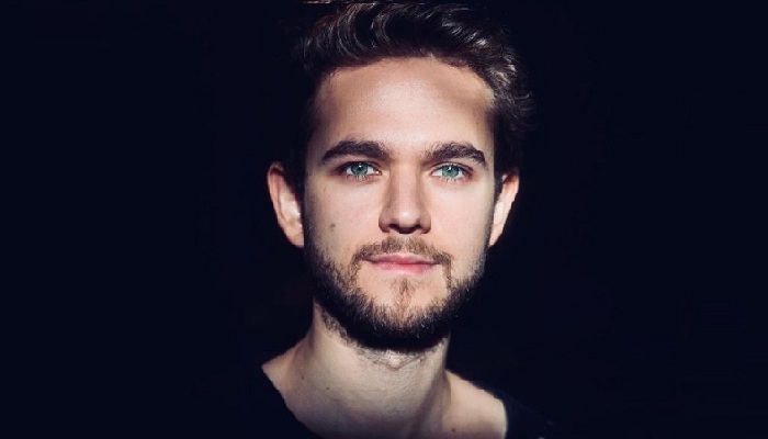 DJ Zedd Net Worth Revealed - Lives In $16 Million Worth Mansions & Drives Tesla Model S